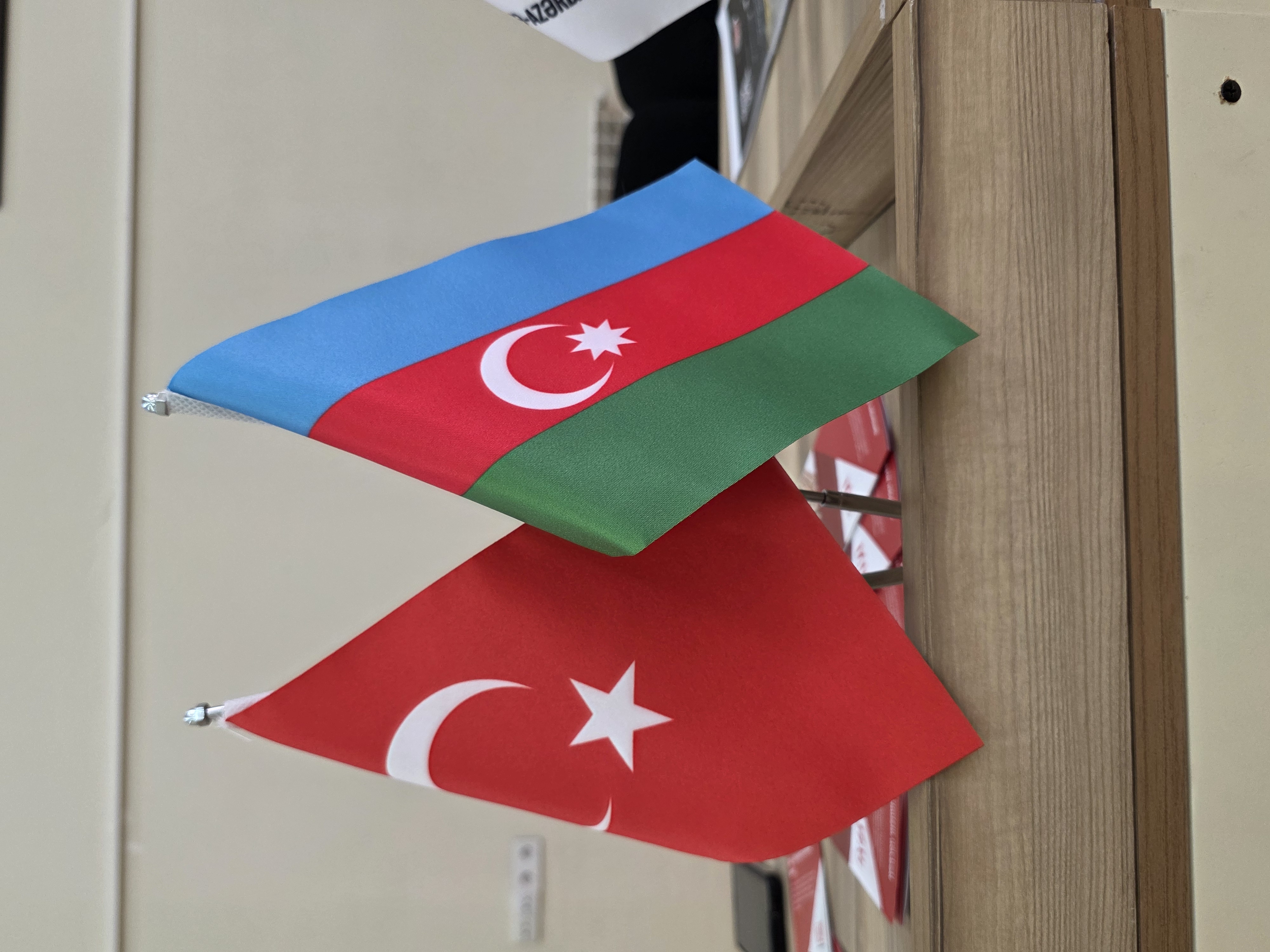 Mingəçevirdə tanıtım günü